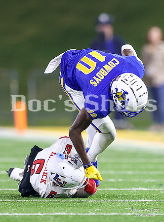 McNeese vs Lamar Football Game 2024