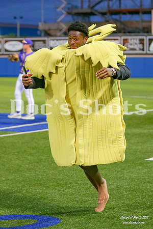 Gumbeaux Gators Baseball vs Acadiana Cane Cutters 6/26/2024