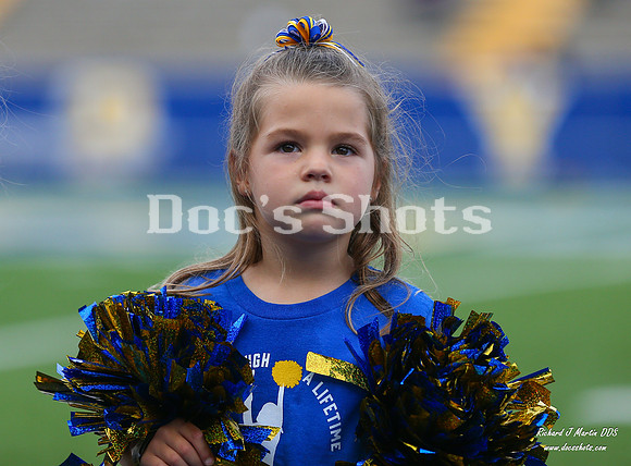 McNeese Football vs LCU 2025