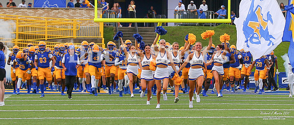 McNeese Football vs LCU 2025