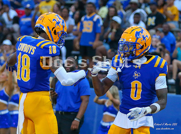 McNeese Football vs LCU 2025