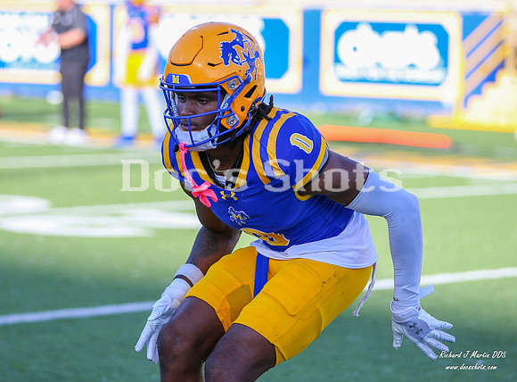 McNeese Football vs SLU 2025