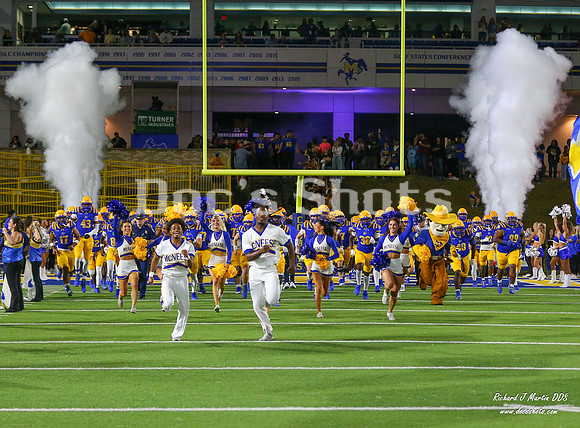 McNeese Football vs UTRGV 2025