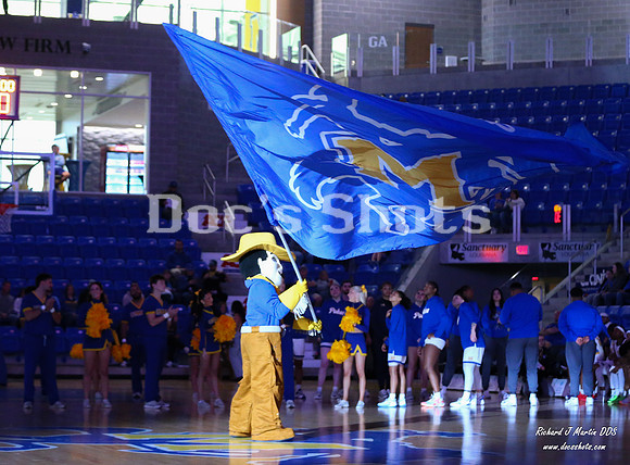 McNeese Cowgirls Basketball Game with SLU 2026