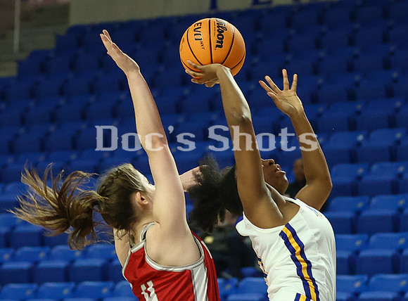 McNeese Cowgirlss Basketball Game with Nicholls 2023