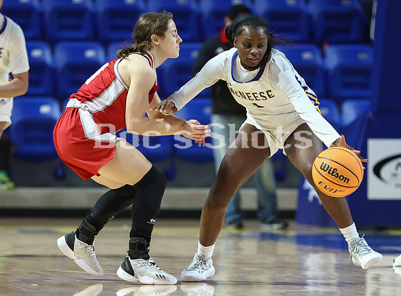 McNeese Cowgirlss Basketball Game with Nicholls 2023