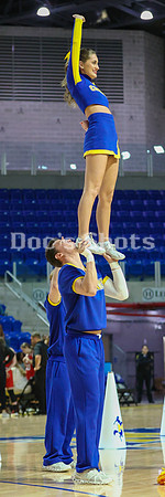 McNeese Cowgirlss Basketball Game with Nicholls 2023