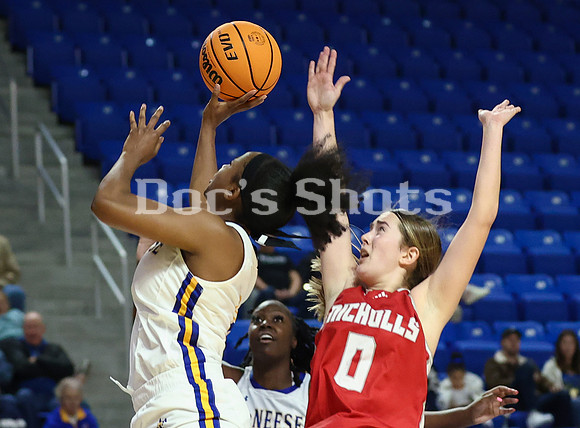 McNeese Cowgirlss Basketball Game with Nicholls 2023