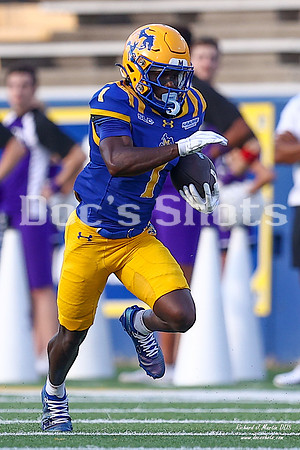 McNeese vs SFA Football Game 2026