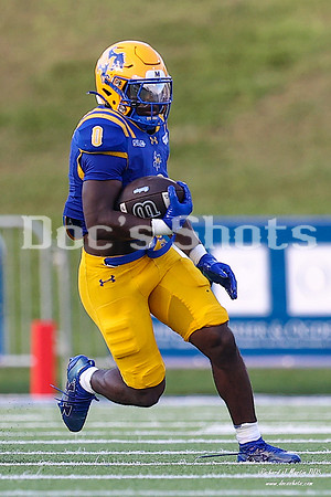 McNeese vs SFA Football Game 2026
