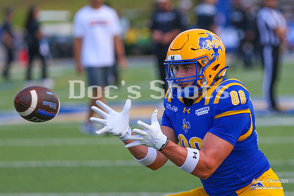 McNeese vs SFA Football Game 2026