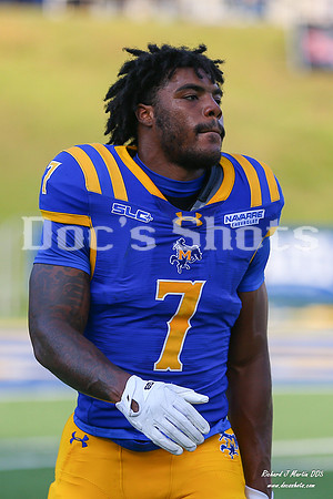 McNeese vs SFA Football Game 2026