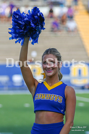 McNeese vs SFA Football Game 2026