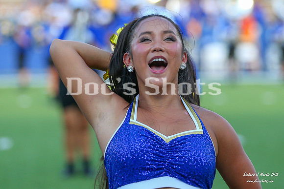 McNeese vs SFA Football Game 2026