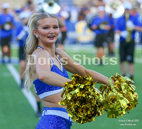 McNeese vs SFA Football Game 2026