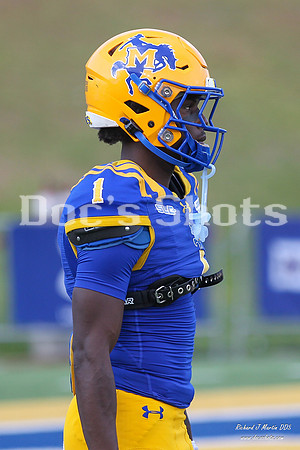 McNeese vs SFA Football Game 2026