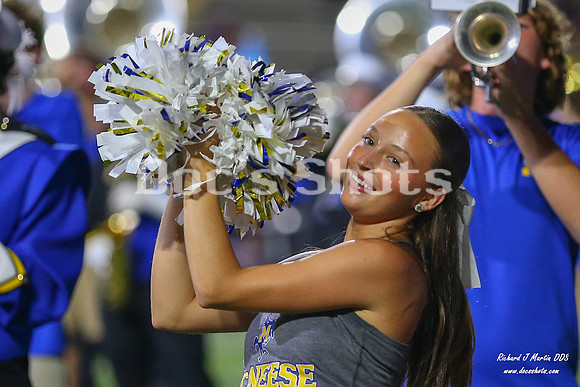 McNeese vs TSU Football Game 2026