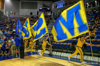 McNeese Cowboys Exhibition Basketball Game with LSU 2026