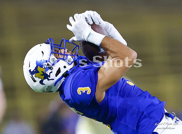 McNeese vs Alcorn Football Game 2024