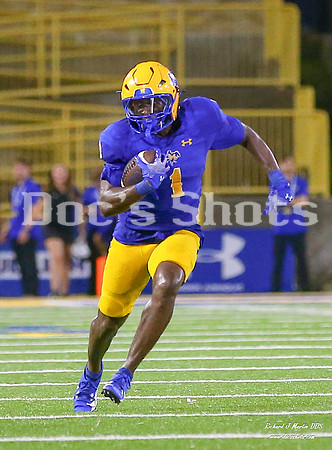McNeese vs SFA Football Game 2024