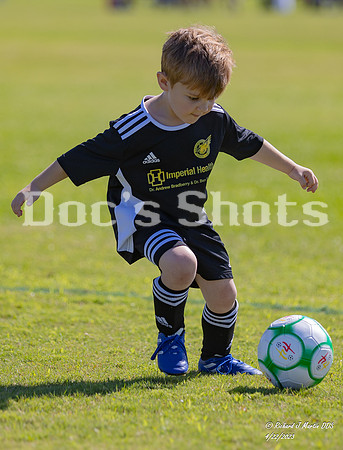 Henry & Gus Soccer 2023