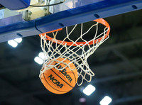 Panthers Basketball Photos