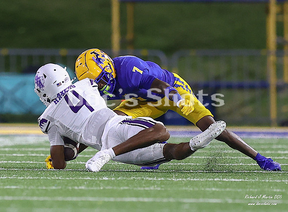 McNeese vs SFA Football Game 2024