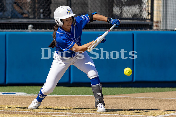 McNeese Cowgirl Softball vs Niagara 2024