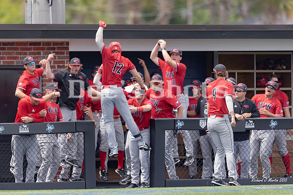 McNeese Baseball vs UIW Game 3 2024