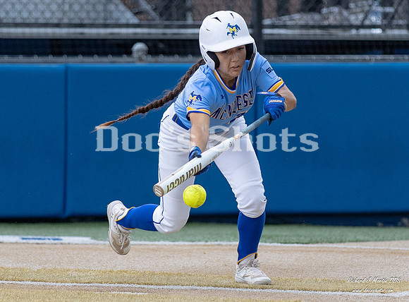 McNeese Cowgirl Softball vs HCU Game 3 2024