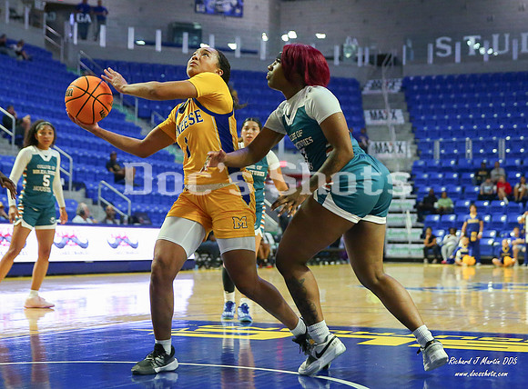 McNeese Cowgirlss Basketball Game with U. of Bible Studies 2024