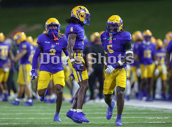 McNeese vs SFA Football Game 2024