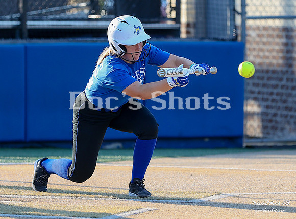 McNeese Cowgirl Softball vs Jones College 2024