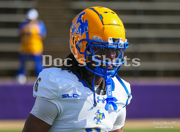 McNeese vs NSU Football Game 2024