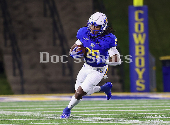 McNeese vs Lamar Football Game 2024