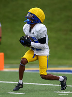 McNeese Football Scrimmage 2025