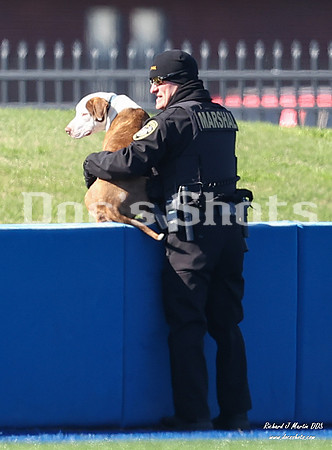 McNeese Baseball vs WSU Game 3 2025